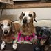 Profile Picture of Traci Handley Yoho (@traci.yoho) on Facebook