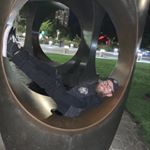 Profile Picture of Daniel Potts (@armlessguy) on Instagram