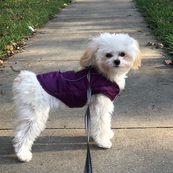 Profile Picture of Joe Fucello (@joefmd) on Poshmark