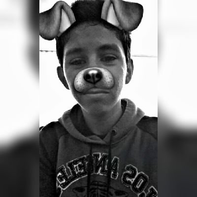 Profile Picture of Felipe Moldoch (@felipe_moldoch) on Twitter