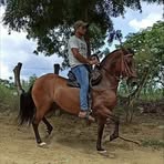 Profile Picture of Bastos Manuel (@Bastos-Manuel) on Facebook