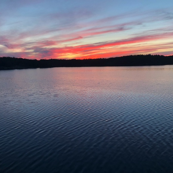 Profile Picture of Kirsten Laufer (@kirsten_laufer) on Poshmark