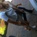 Profile Picture of Lisa Galdi (@sigismond.weinrich.5) on Facebook