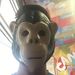 Profile Picture of Jose Sifnugel (@josesifnugel) on Pinterest