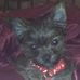 Profile Picture of Opal Thomas (@opal.thomas.79) on Facebook