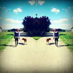 Alexandra - Instagram Profile Picture of Alexandra (@alexandra_spiegel_) on Instagram