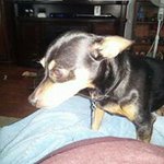 Profile Picture of Beverly Swartzentrover (@beverlyswartzentrover) on Instagram