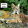 Profile Picture of Kevin Piper (@projectnature2007) on Flickr
