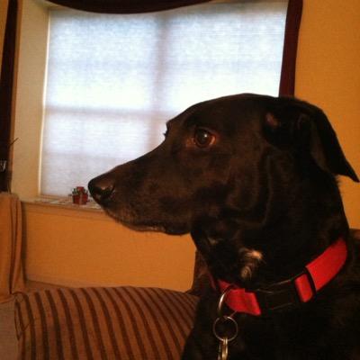 Profile Picture of Joe Brett (@joebrett3) on Twitter