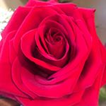 Profile Picture of ChaAï Premiere (@labelleoboisdorman) on Instagram