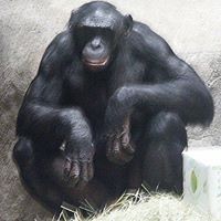 Profile Picture of Steven Glosser (@steven-glosser) on Quora