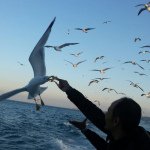 Profile Picture of Khaled Jamal Atari (@khaledjamal72) on Instagram