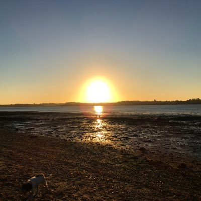 Profile Picture of Adam Pickering (@AP_80) on Twitter