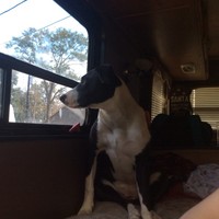 Profile Picture of Derek Hester (@derek-hester-2) on Quora