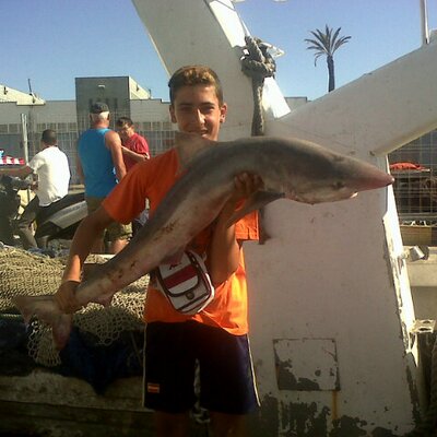 Profile Picture of Antonio Olea (@OleaXulo) on Twitter