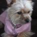 Profile Picture of Coco O'Connor (@coco.oconnor.3) on Facebook