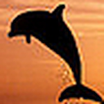 Profile Picture of Daniel Iancu (@danieliancu) on Flickr