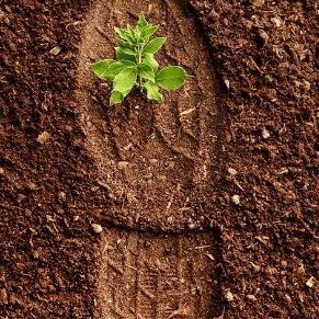 Profile Picture of Tony Tovar (@TONY_TOVAR_) on Twitter