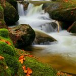 Profile Picture of ana karen martinez garcis (@ana_tetus) on Instagram