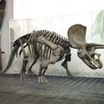 Profile Picture of George Papaιοαnnou (@papajohn.george) on Instagram