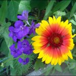 Profile Picture of Ruff Ernston (@ruff_ernston_) on Instagram