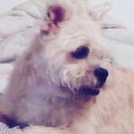 Profile Picture of james amacker (@jamesamacker) on Instagram