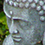 Profile Picture of Youngatheart2010 (@youngatheart2010) on Flickr