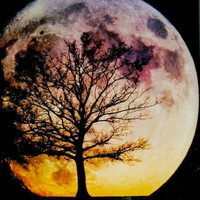 Profile Picture of Darci Maxwell (@darci-maxwell) on Quora