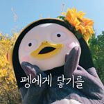 펭에게 닿기를🧡(펭수덕후계) - Instagram Profile Picture of 펭에게 닿기를🧡(펭수덕후계) (@pengsoo__) on Instagram