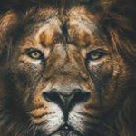 Profile Picture of BLESSEN GEORGE•⚜️•ESTD 2001 (@george.jr_officials) on Instagram