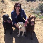 Profile Picture of Stacey Meehan Stucki (@staceystucki1) on Instagram