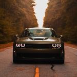 Profile Picture of Jerry Chavez (@green_goblinscat392) on Instagram