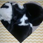 Profile Picture of Catherine Laughlin (@catherine.laughlin.940) on Instagram