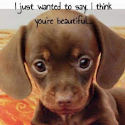 Profile Picture of Wayne Curtis Jr. (@MrDaedalusWren) on Youtube