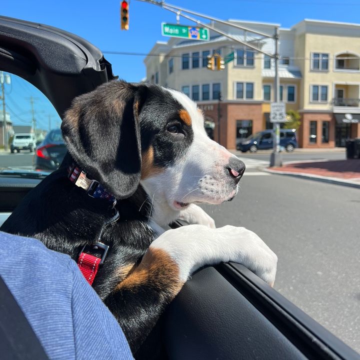 Profile Picture of Devon Sinnott (@dev.sin.567) on Tiktok