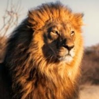 Profile Picture of Colleen Beyer (@colleen-beyer-2) on Quora