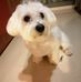 Profile Picture of Pixel Argemí (El Chucho) (@pixel.argemi) on Facebook