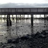 Profile Picture of Aaron Kriska (@aaron-kriska) on Quora