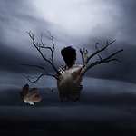 Profile Picture of Vu Minh Nhat (@nhatvu2601) on Flickr