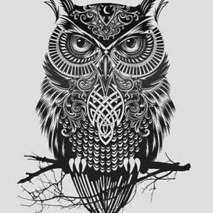 Profile Picture of Nightowl (@TEE_roy_76) on Twitter