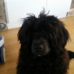 Profile Picture of Doris Bach (@dorispirayan) on Instagram