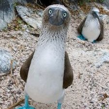 Thomas Melo Covill - Twitter Profile Picture of Thomas Melo Covill (@__ThomasMC) on Twitter