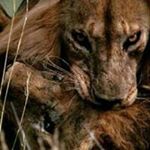 Profile Picture of Mario Del Toro (@deltoromario) on Instagram