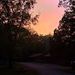 Profile Picture of Logan Tuttle (@logantuttle324) on Pinterest