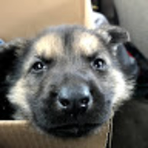 Profile Picture of Luis enrique Sanchez-neri (@bossness2021) on Poshmark