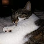 Profile Picture of Isabelle Mouton (@isabelle.mouton.31) on Instagram