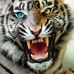 Profile Picture of Jon Barto (@jon.barto.77) on Facebook