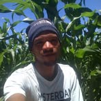 Profile Picture of Wilfred Stevens (@Wilfred-Stevens) on Facebook