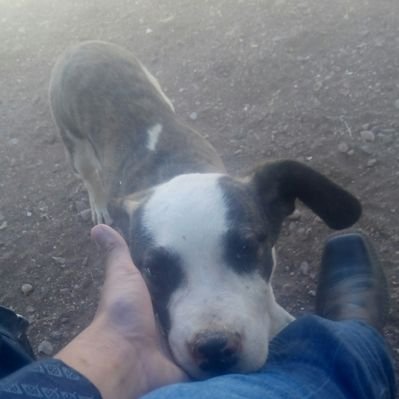 Profile Picture of Sebastian (@genaro51barron) on Twitter