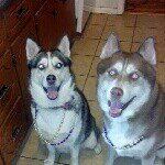 Profile Picture of Janelle Hassler (@j_hassler) on Instagram